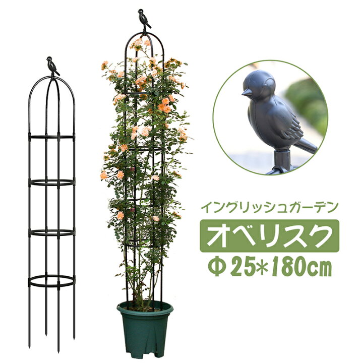 楽天市場 オベリスク 支柱 ミニオベリスク ローズオベリスク 180cm 25cm 高さ調整可能 花 園芸用品 バラ 薔薇 オベリスクアーチ プランター おしゃれ 園芸用品 植木鉢 植物 鉢 庭 栽培 Thebestday楽天市場店