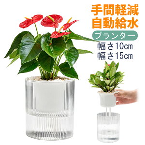 植木鉢 自動給水 室内栽培向け 時間節約 手間いらず 盆栽鉢 プラスチック製 プランター 貯水槽付き フラワーポット 現代風 室外室内 観葉植物鉢 多肉植物鉢 ハーブ鉢 花鉢栽培適用 2個セッ