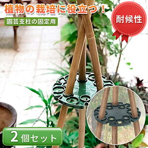 | x Œ xT|[^[ x̌Œp ؉ _A ƒ؉ |pi _Ɨpi xx 2Zbg