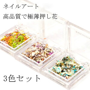  lC i Ԃт hCt[ y3FZbgz VA[t[V[ ZtlC lCA[g i` ԃlC ԍ p[c lCp[c [P[Xt 