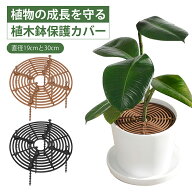 植木鉢カバー 植木鉢グリッド 丸型 直径19cm 直径30cm 植木鉢土壌ガードカバー 猫犬対策 いたずら防止 通…