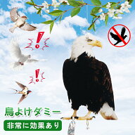 【雑誌掲載】鳥避けグッズ 鳩よけ 鷹 フクロウ カラス撃退 ハト対策 スズメ・ツバメ 猫避け つばめ 屋外 …