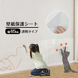 Top 10 猫 壁紙 かっこいい Thư Viện Hỏi đap