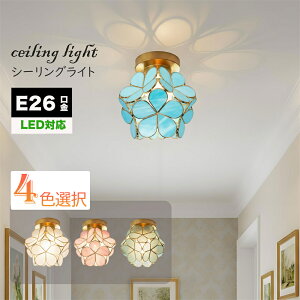 y撅100N[|zV[OCg 1 E26 ledΉ   Ԃт Ԍ^ KX  led ^V[OCg VƖ V䃉Cg ݂艺 Cg AeB[NHsv 