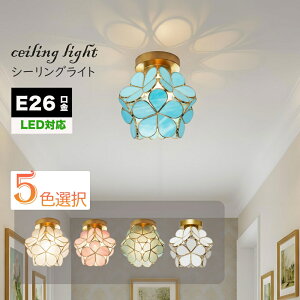 y撅100N[|zV[OCg 1 E26 ledΉ   Ԃт Ԍ^ KX  led ^V[OCg VƖ V䃉Cg ݂艺 Cg AeB[NHsv 