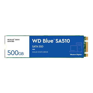 ��������񂹁�SSD��WDS500G3B0B ��