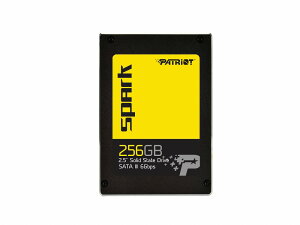 �����݌ɂ̂ݏI���IPSK256GS25SSDR