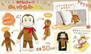 S50cm̉ʂ݁̃W[Wʂ50cm