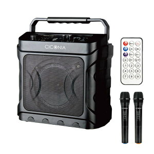 łA4PʂƂȂ܂20W/gFXȃ}CNtXs[J[fXNgbvXs[J[ CDD160A