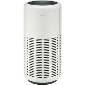 ݌ɂ̂݁C@`21(`35m2)LEAF 250 AP-B250-WH [zCg]