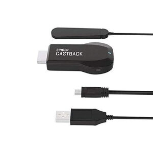 �������C�����X �f���o�̓A�_�v�^�[ iPhone/Mac/PC�Ή���MS-CAST01BK2