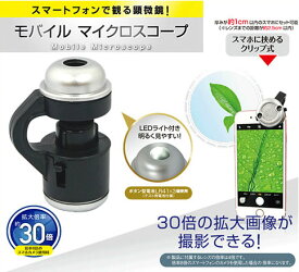 楽天市場 マイクロスコープ 30倍の通販