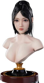 Fire Girl Toys 1/6 アジア 女性 美人 美少女 可動 アクション フィギュア FG097 C