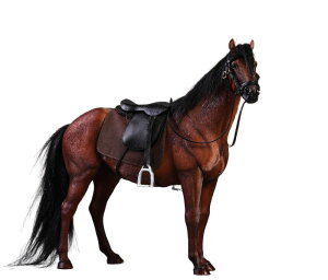 JXK@1/12@u@f@蕨@tBMA@n@JXK013B