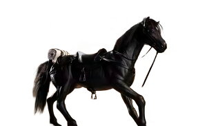 RingToys@1/6@RT-006@u@s@ANVtBMAp@n@n@蕨