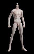 楽天市場】1／6 男性 シームレス 素体 フィギュアの通販