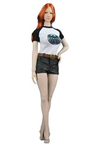 ZYTOYS ZY5036 1/6 h[ f Aj Q[ LN^[ l  ZNV[  tBMAp  TVc xg Y{ Zbg