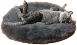 JXK JXK152B 1/6  L ybg lR f tBMA