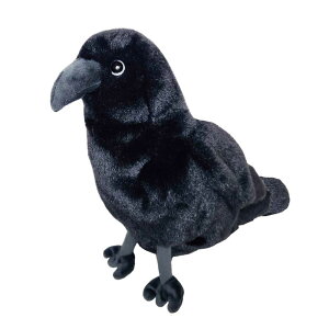 yBESTEVERz ChAj} yP[X ]E AUV u^ nlY~ V}X i}Pm nVrRE CJ Lcl p_ JX t~S `` Jso䂸 E[p[[p