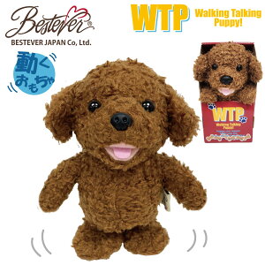 yBESTEVERzydrv[gzgCv[h dqybg dߋ drœ ʂ    m}l a Mtg v[gyWalking Talking Puppy Toy Poodlezv[h X}C