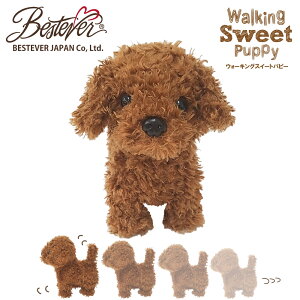 yBESTEVERzydrv[gzdqybg dߋ drœ ʂ    m}l L a Mtg v[gyWalking Sweet PuppyzgCv[ v[h