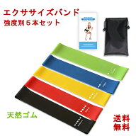 ヨガバンド トレーニングチューブ エクササイズバンド 5本セット ヨガゴム 筋トレゴムバンド 体幹 インナ…