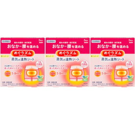 めぐりズム 蒸気の温熱シート 下着の内側面に貼るタイプ 5枚入【3個セット】(4901301245496-3)