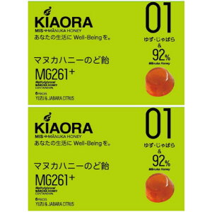 y2ZbgzMIS}kJnj[̂ǈ KIAORA01(䂸E΂) 6y[ցz(4580353100269-2)