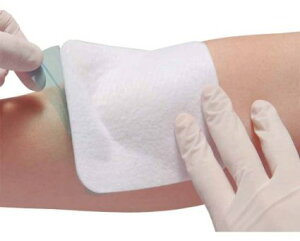 APA GXACGCh(7) y10Zbgz(0409160007384-10)(0409160007384-10)