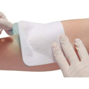 APA GXACGCh(7) y2Zbgzy[ցz(0409160007384-2m)(0409160007384-2m)