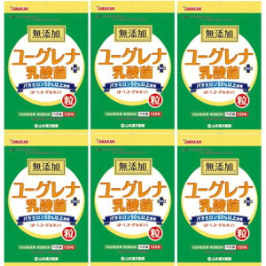 無添加 ユーグレナ 乳酸菌 粒 120粒【6個セット】【メール便】(4979654027496-6)