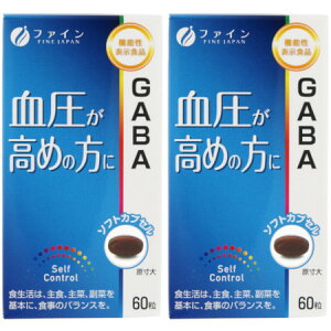 GABA 60y2Zbgz(4976652011250-2)