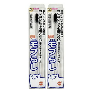 y2ZbgzIWPA d߃t炵 RpNg 1{y[ցz(4987379008089-2)