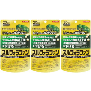 ݂̓yER XtHt@ 60y3Zbgzy[ցz(4987645401286-3)