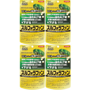 ݂̓yER XtHt@ 60y4Zbgzy[ցz(4987645401286-4)