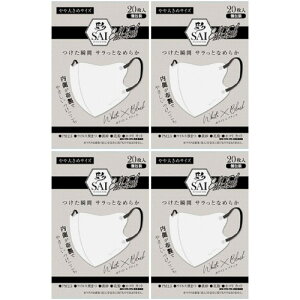 ʃVNtB[}XN 傫 zCg×ubN 20y4Zbgz(4570084521983-4)