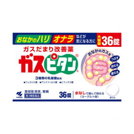 【第3類医薬品】ガスピタンa 36錠【2個セット】(4987072011256-2)