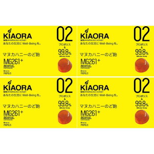 y4ZbgzMIS}kJnj[̂ǈ KIAORA02(v|X) 6y[ցz(4580353100283-4)