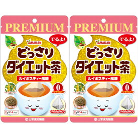PREMIUM どっさりダイエット茶 14袋入【2個セット】【定形外郵便】(4979654028318-2)