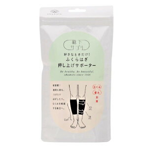 IJg CTv DȂƂ ӂ͂グT|[^[ fB[X ubN L(4550310010108)