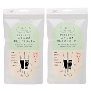 y2ZbgzIJg CTv DȂƂ ӂ͂グT|[^[ fB[X ubN L(4550310010108-2)