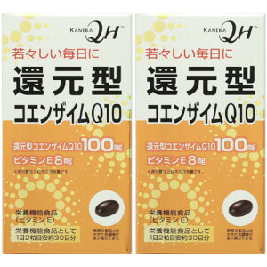 Ҍ^RGUCQ10 60y2Zbgz(4903361581200-2)