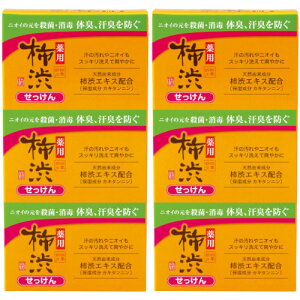 四季折々 薬用 柿渋 せっけん 100g×3個入【2個セット】【メール便】(4513574042230-2)