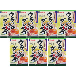 EWKV100 20obOy7Zbgz(4979654027656-7)