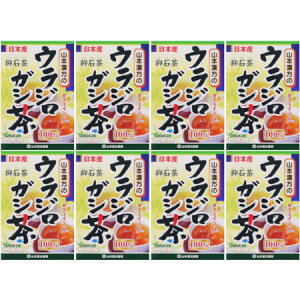 EWKV100 20obOy8Zbgz(4979654027656-8)