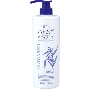 픒 ngM{fB\[v 800ml(4513574027077)