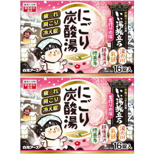 y2Zbgz ɂY_ ᓔ̏h 16(4×4)(4901559213889-2)