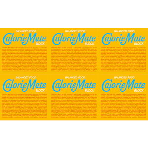 【6個セット】カロリーメイト ブロック バニラ味 4本【メール便】(4987035648918-6)