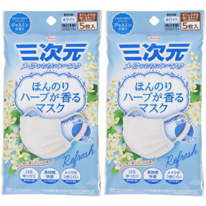 ق̂n[u}XN WX~̍ M`STCY zCg 5y2Zbgzy[ցz(4987067326600-2)