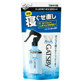 マンダム ギャツビー 寝ぐせ直しウォーター つめかえ用 250mL(4902806102628)